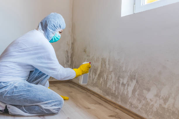 Best Crawl Space Mold Remediation  in Montello, WI